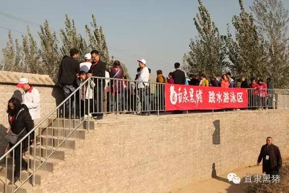 SS:网站文件:20160907153210731031.jpg;原始文件:6401.jpg 6401.jpg