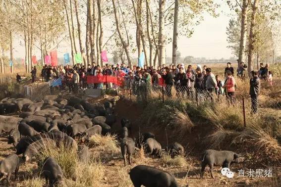 SS:网站文件:20160907153228937752.jpg;原始文件:6402.jpg 6402.jpg