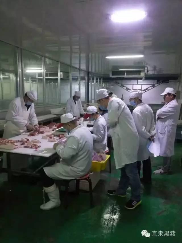 SS:网站文件:20161229201331218816.jpg;原始文件:屠宰3.jpg 屠宰3.jpg