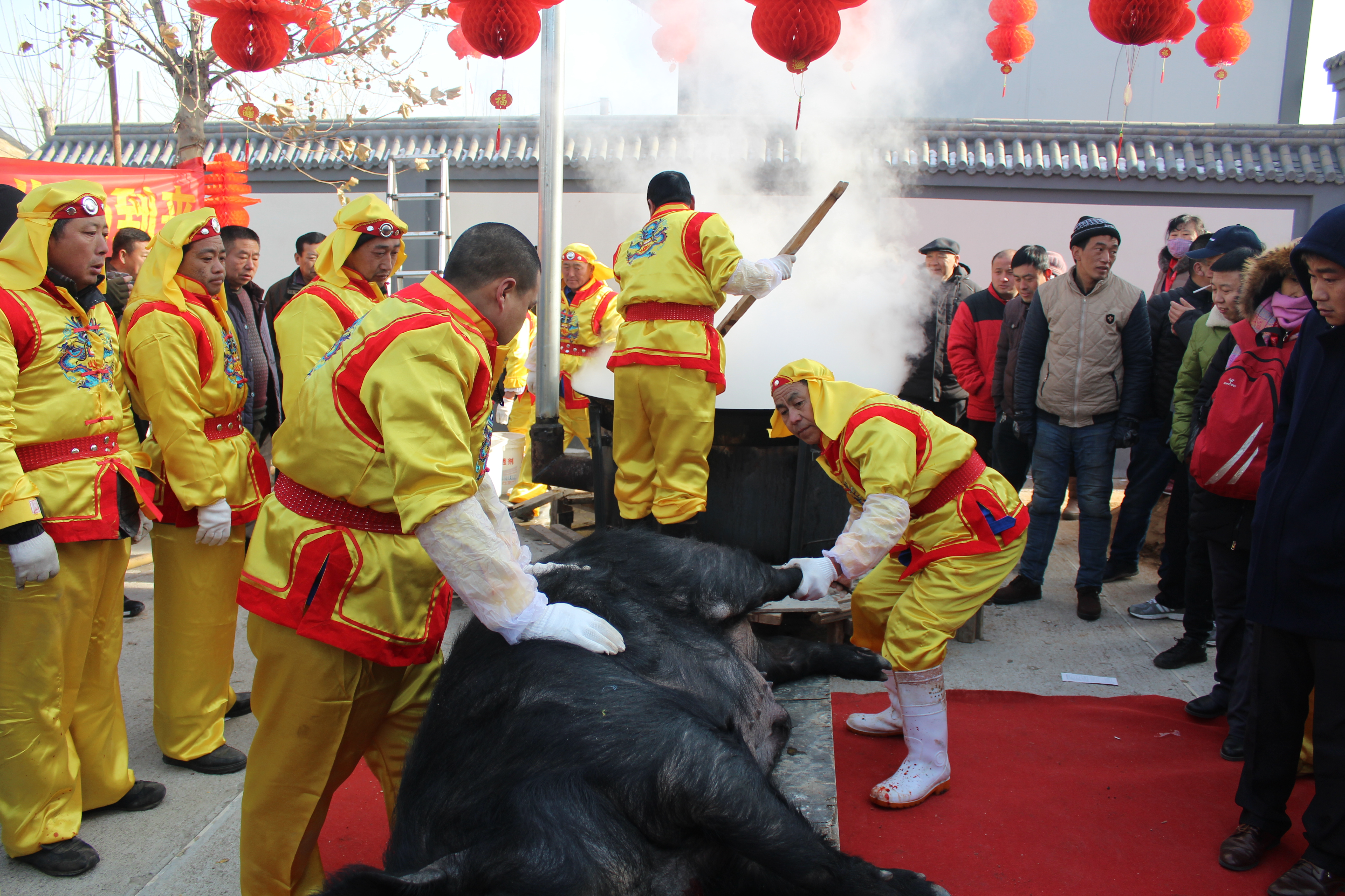 SS:网站文件:20180131105021517634.jpg;原始文件:IMG_7367.JPG IMG_7367.JPG