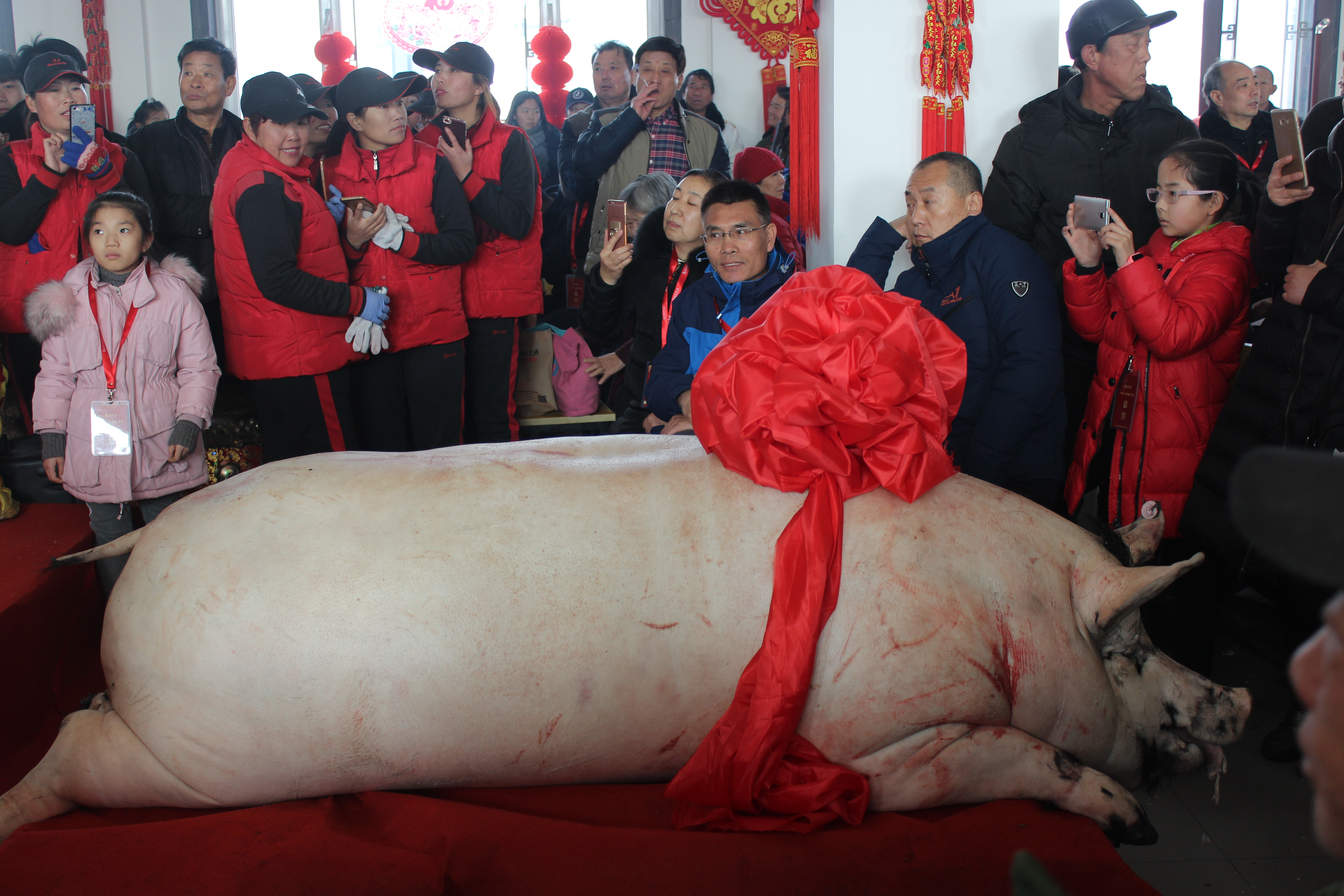 SS:网站文件:20180131105352610481.jpg;原始文件:IMG_7470.JPG IMG_7470.JPG