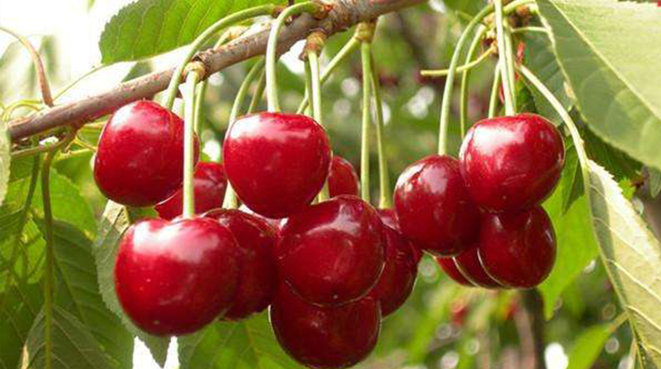 SS:网站文件:20190627150237930904.jpg;原始文件:timg (1) - 副本.jpg timg (1) - 副本.jpg