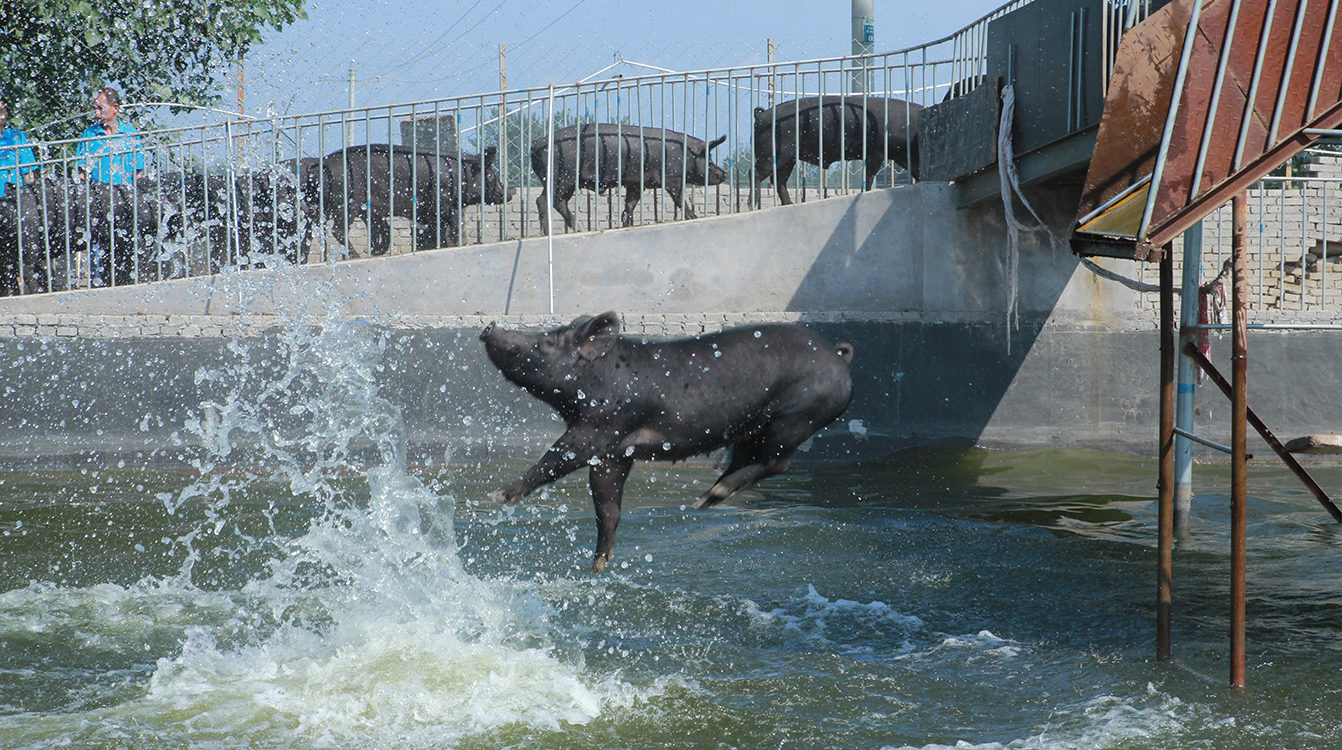 SS:网站文件:20190628064956234491.jpg;原始文件:4.jpg 4.jpg