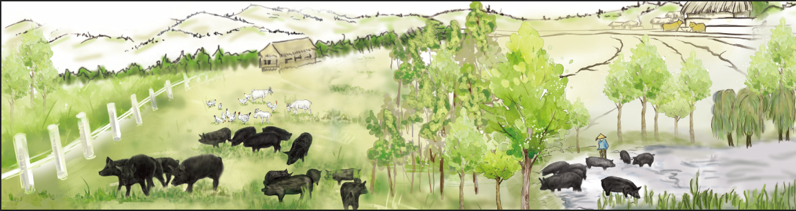 SS:网站文件:20190628070047488291.png;原始文件:1561099450(1).png 1561099450(1).png