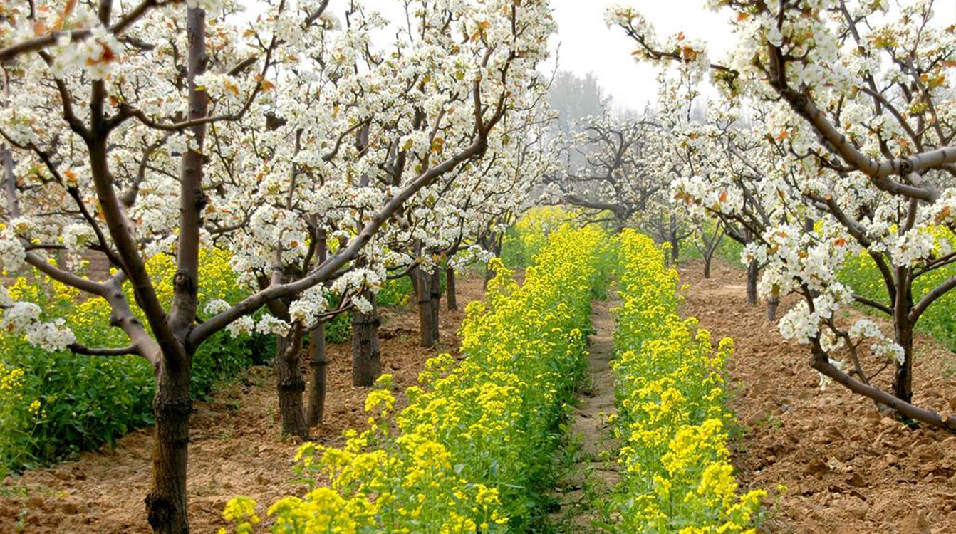 SS:网站文件:20190628071514179869.jpg;原始文件:02.jpg 02.jpg