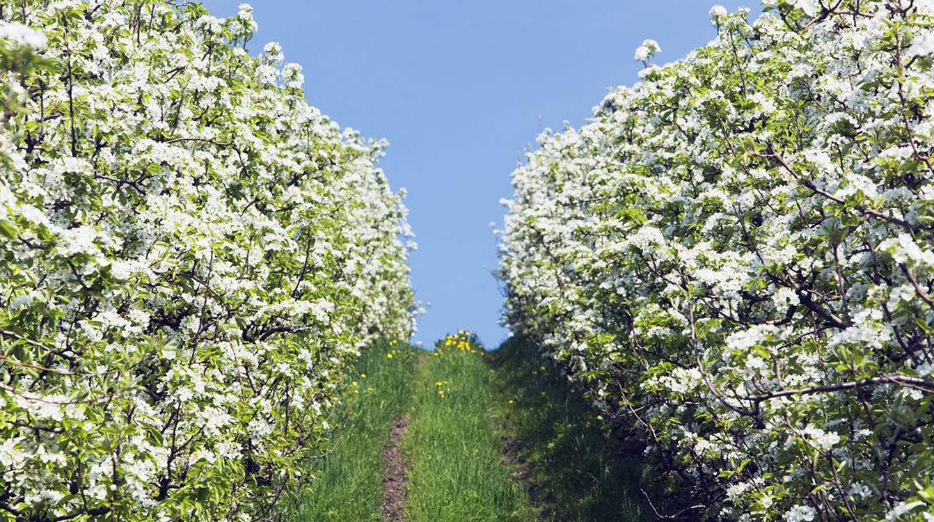 SS:网站文件:20190628071541898317.jpg;原始文件:01.jpg 01.jpg