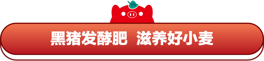 MU:网站文件:20220406110550780738.png;原始文件:公众号标题框1.png MU:网站文件:20220406110550780738.png;原始文件:公众号标题框1.png
