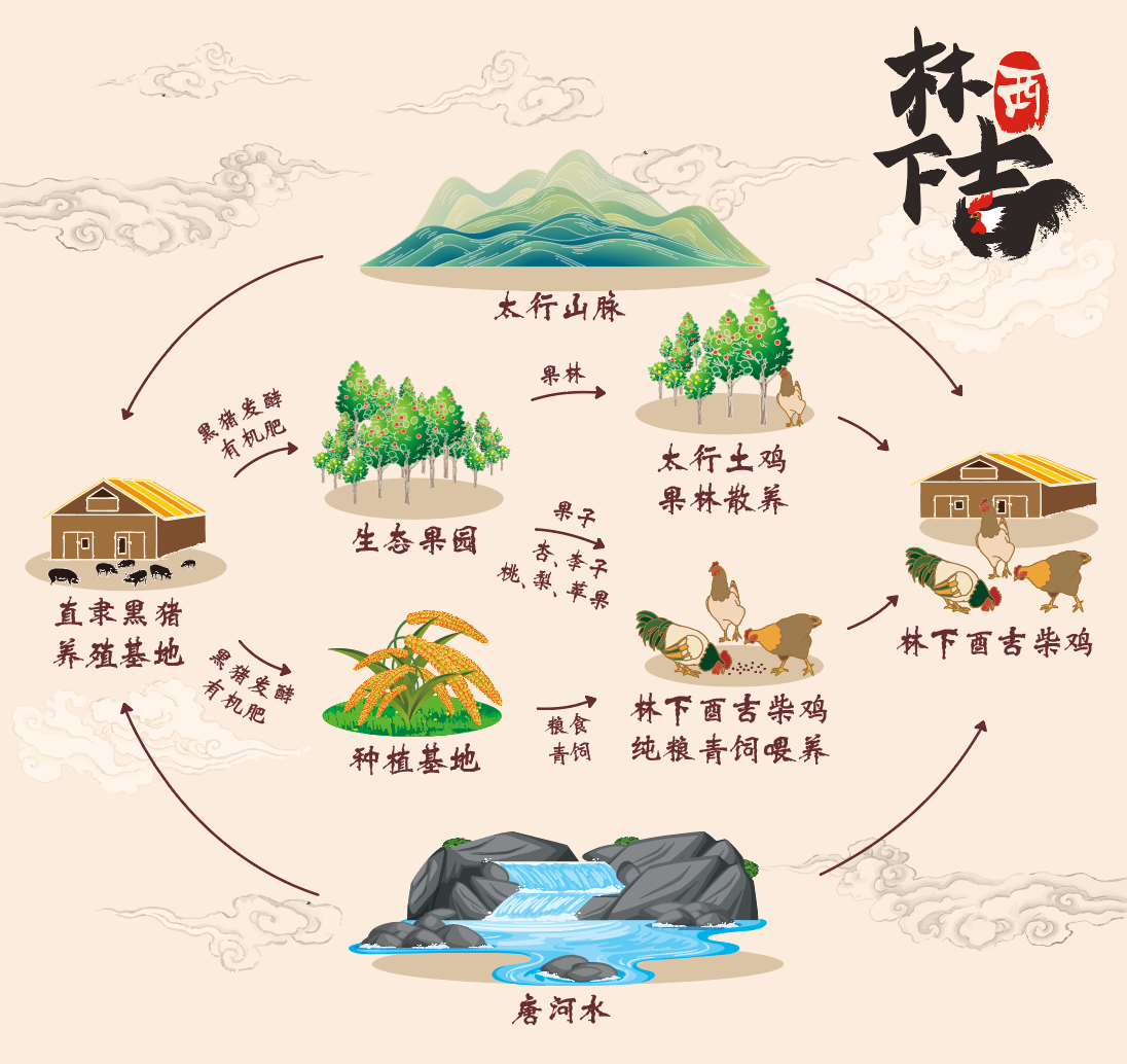 SS:网站文件:20220406155747502971.png;原始文件:循环图.png SS:网站文件:20220406155747502971.png;原始文件:循环图.png