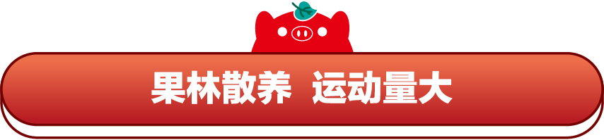 SS:网站文件:20220407145759429587.png;原始文件:640.png 640.png