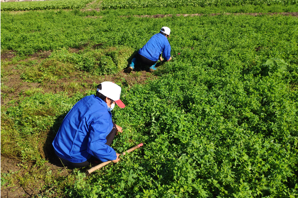 SS:网站文件:20220413094700577138.png;原始文件:微信图片_20211014162348.png 微信图片_20211014162348.png