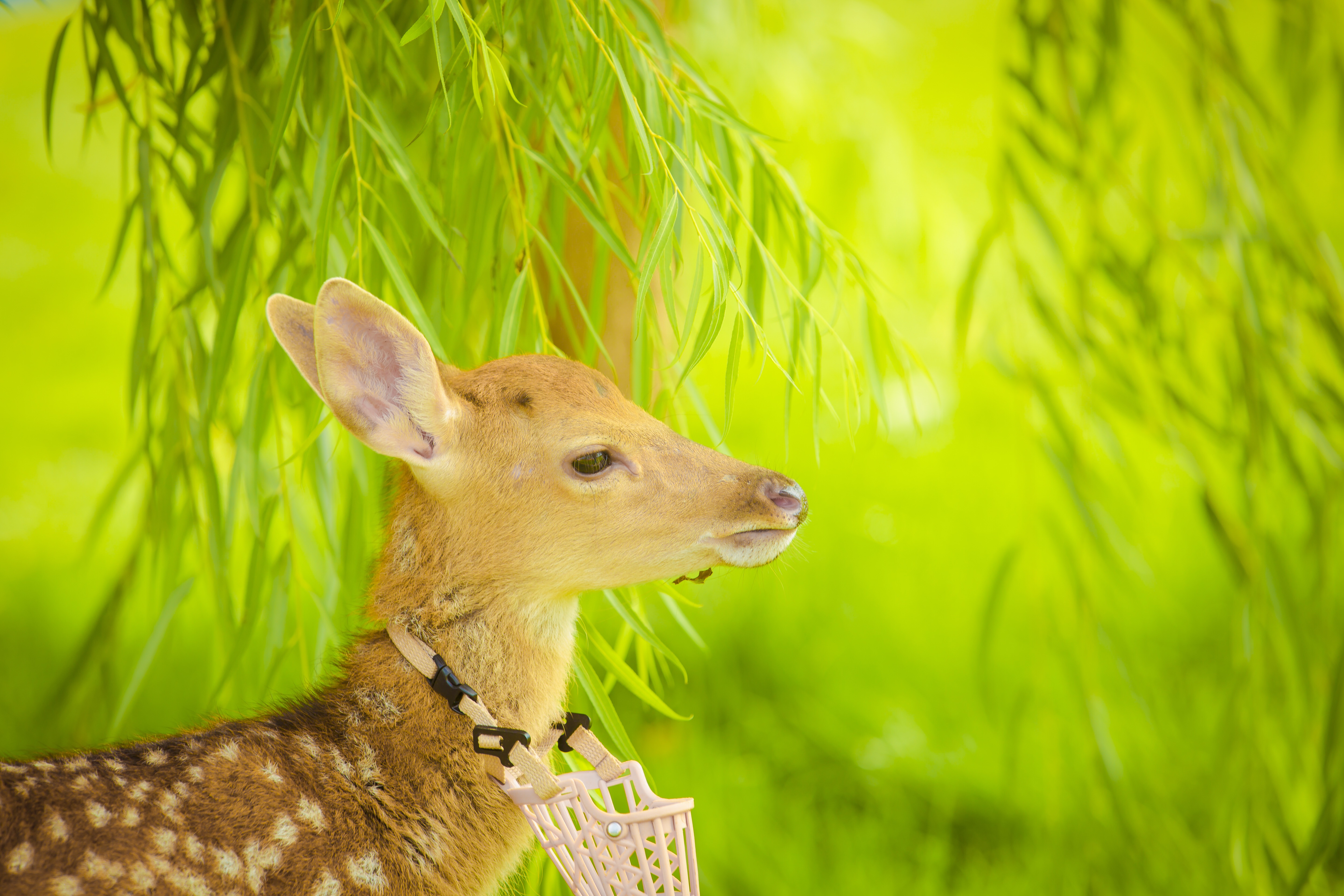 SS:网站文件:20220811142345801173.jpg;原始文件:微信图片_202207151624435.jpg SS:网站文件:20220811142345801173.jpg;原始文件:微信图片_202207151624435.jpg