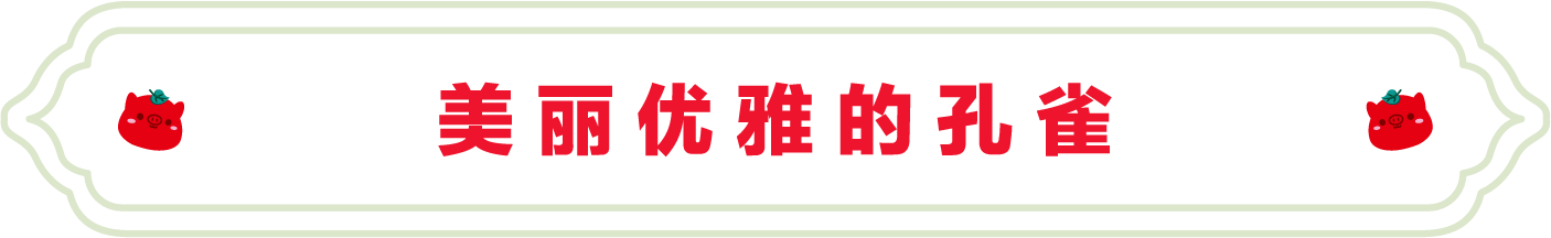 SS:网站文件:20220811155851394407.png;原始文件:12.png SS:网站文件:20220811155851394407.png;原始文件:12.png