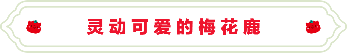 SS:网站文件:20220811155917284798.png;原始文件:11.png SS:网站文件:20220811155917284798.png;原始文件:11.png