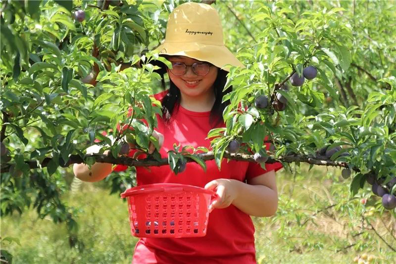 SS:网站文件:20220812103450329312.jpg;原始文件:微信图片_20220808102103.jpg SS:网站文件:20220812103450329312.jpg;原始文件:微信图片_20220808102103.jpg