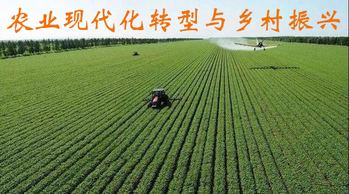 SS:网站文件:20230109110513138500.jpg;原始文件:398947_500x500.jpg SS:网站文件:20230109110513138500.jpg;原始文件:398947_500x500.jpg