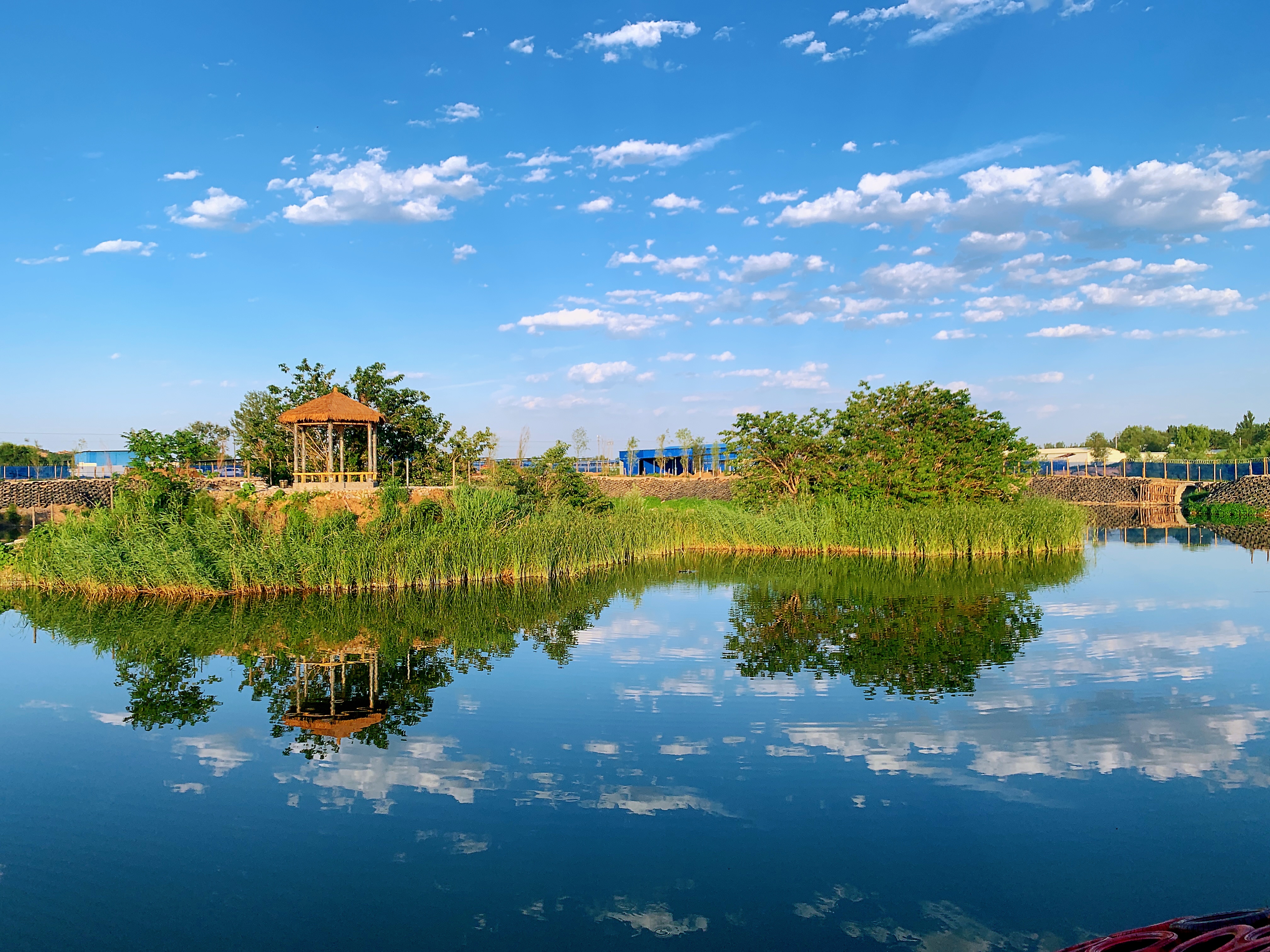 SS:网站文件:20230512140731729793.jpg;原始文件:微信图片_20220215173020.jpg SS:网站文件:20230512140731729793.jpg;原始文件:微信图片_20220215173020.jpg