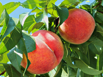 SS:网站文件:20230625104253895490.jpg;原始文件:781364_20180513203939890080_0.jpg SS:网站文件:20230625104253895490.jpg;原始文件:781364_20180513203939890080_0.jpg