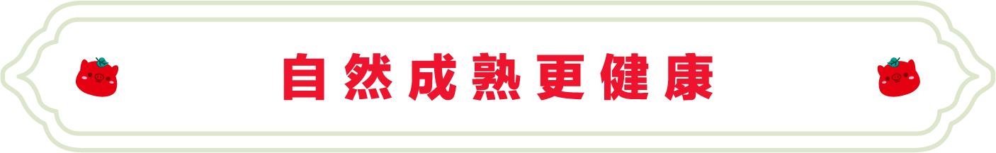 SS:网站文件:20230704105838888256.png;原始文件:1.png SS:网站文件:20230704105838888256.png;原始文件:1.png