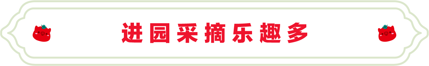 SS:网站文件:20230704110235551265.png;原始文件:3.png SS:网站文件:20230704110235551265.png;原始文件:3.png
