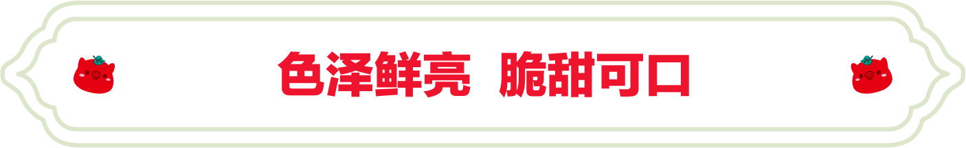 SS:网站文件:20231024102141822627.png;原始文件:2.png SS:网站文件:20231024102141822627.png;原始文件:2.png