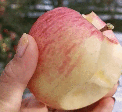 SS:网站文件:20231024102256597792.gif;原始文件:11.gif SS:网站文件:20231024102256597792.gif;原始文件:11.gif