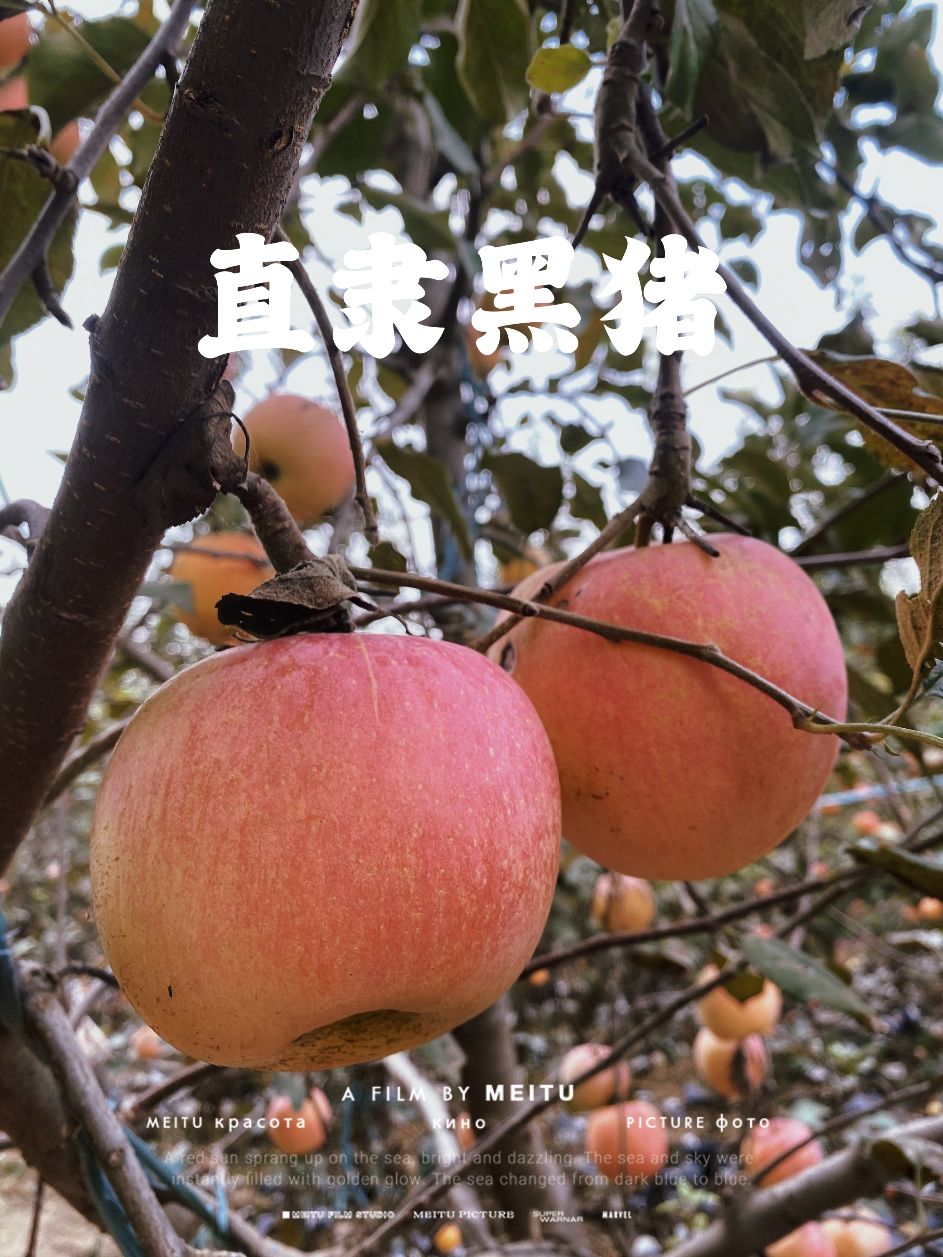 SS:网站文件:20231025111416639566.jpg;原始文件:微信图片_20231018151614.jpg SS:网站文件:20231025111416639566.jpg;原始文件:微信图片_20231018151614.jpg