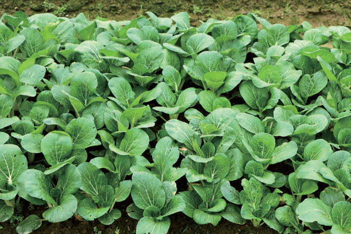 SS:网站文件:20240507094750272172.png;原始文件:44.png 44.png