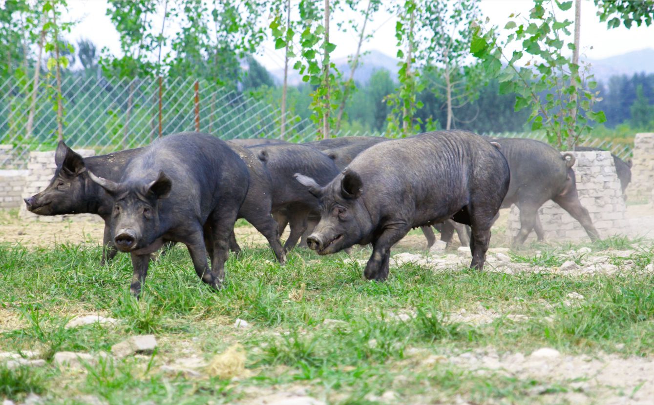 20220706092834409154.jpg 20220706092834409154.jpg