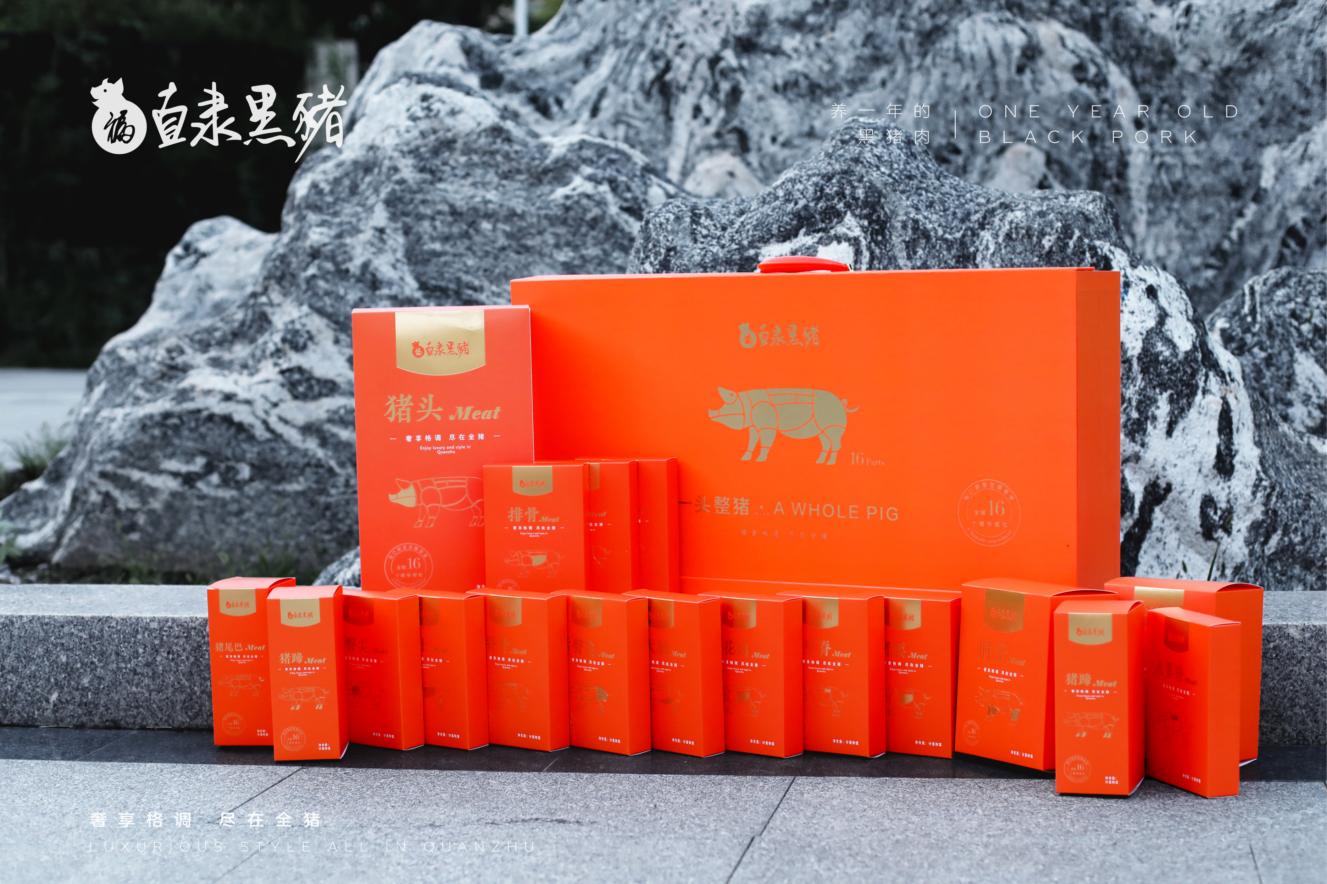 SS:网站文件:20240903101239905635.jpg;原始文件:微信图片_20230913174155.jpg SS:网站文件:20240903101239905635.jpg;原始文件:微信图片_20230913174155.jpg