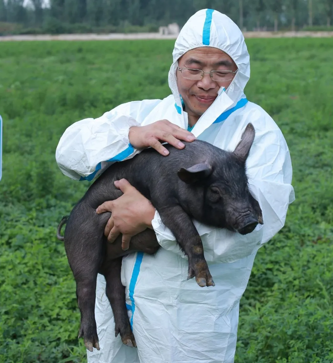 SS:网站文件:20241106093524975934.png;原始文件:640.webp (2).png SS:网站文件:20241106093524975934.png;原始文件:640.webp (2).png