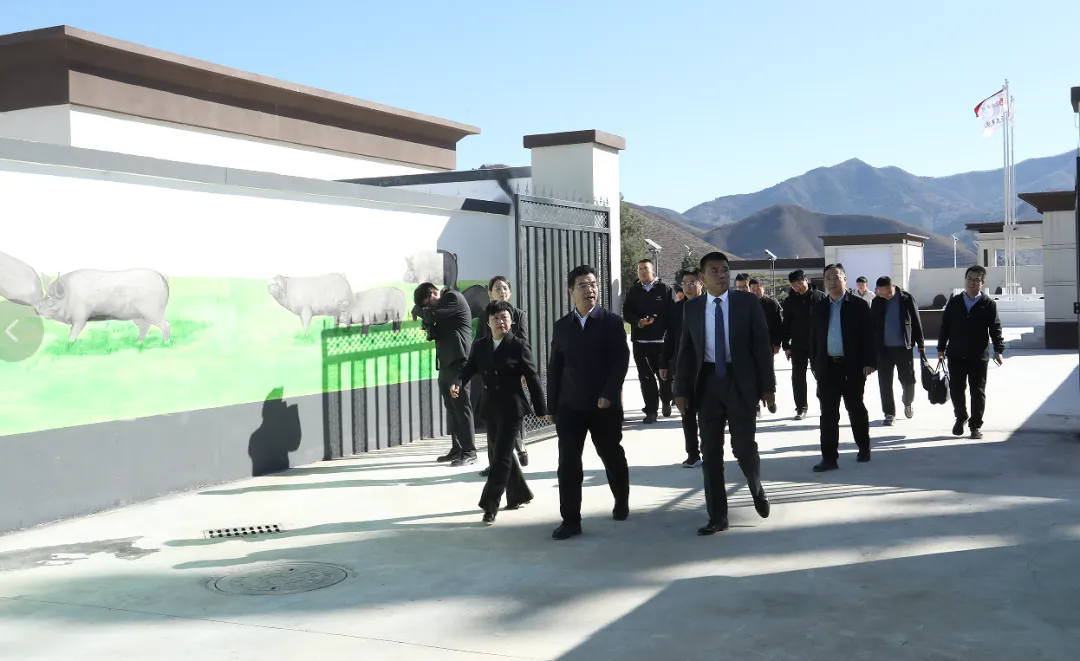 SS:网站文件:20241106094359428481.png;原始文件:640.webp (6).png SS:网站文件:20241106094359428481.png;原始文件:640.webp (6).png