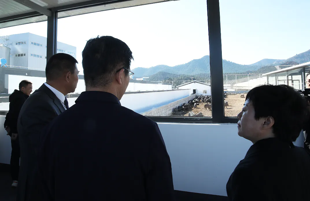 SS:网站文件:20241106094425943973.png;原始文件:640.webp (7).png SS:网站文件:20241106094425943973.png;原始文件:640.webp (7).png