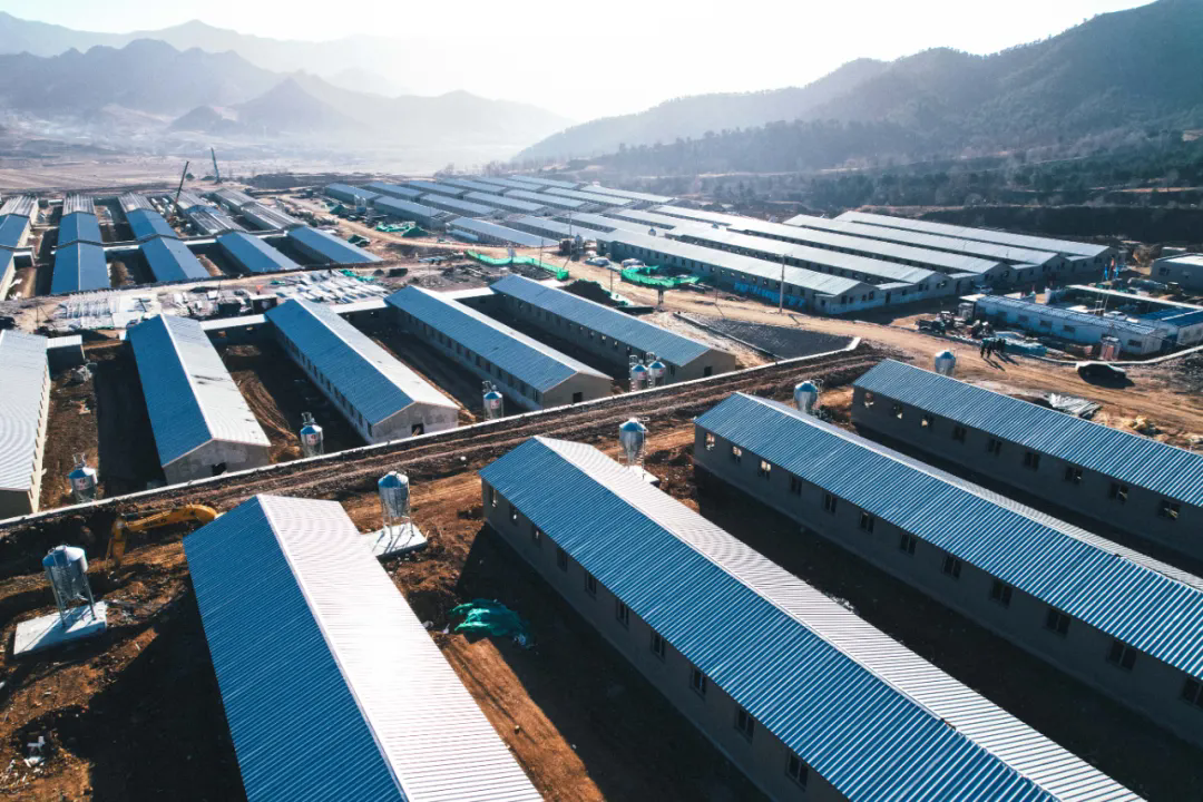 SS:网站文件:20241106094515715477.png;原始文件:640.webp (8).png SS:网站文件:20241106094515715477.png;原始文件:640.webp (8).png