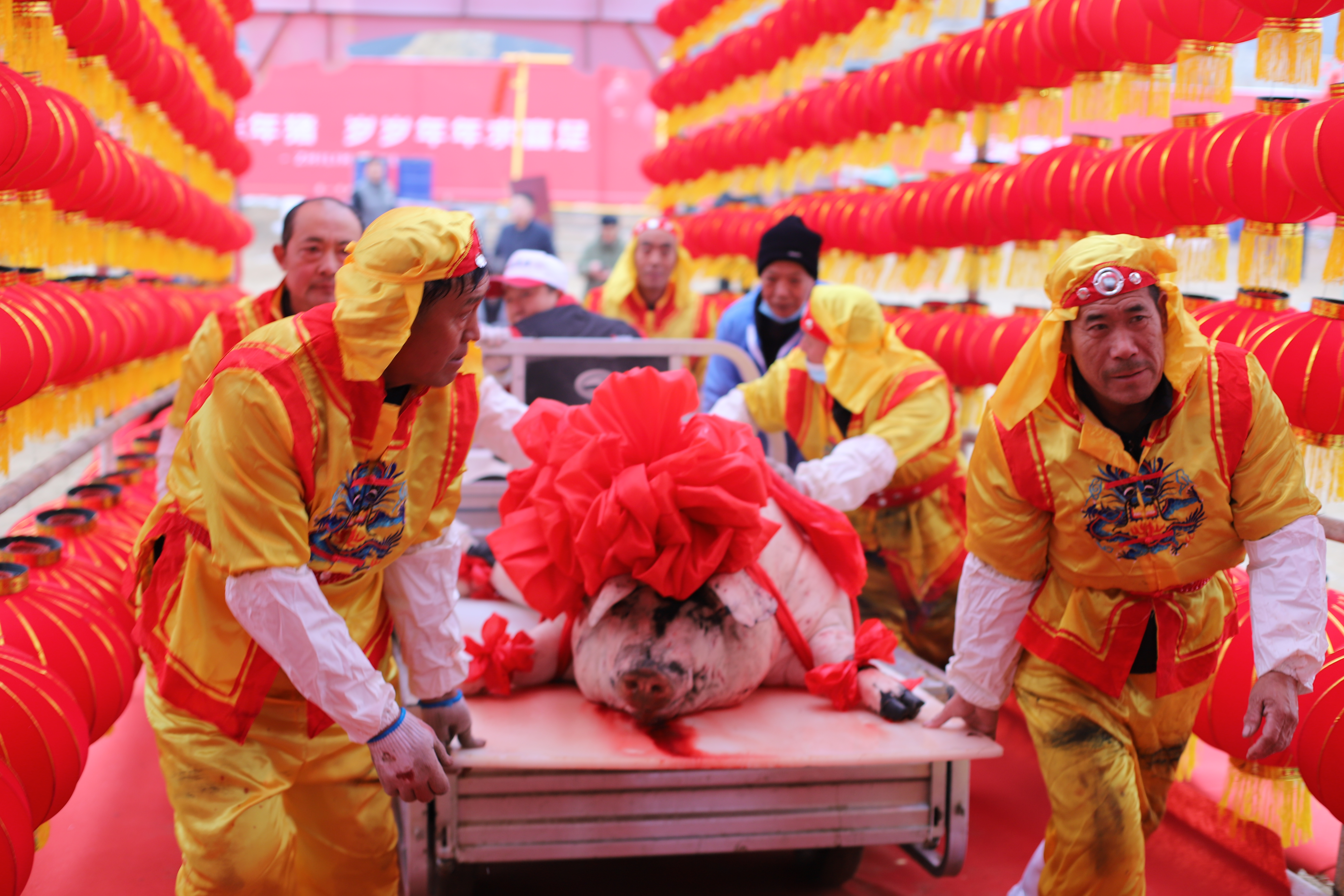 SS:网站文件:20250117113354383156.jpg;原始文件:IMG_7149.JPG SS:网站文件:20250117113354383156.jpg;原始文件:IMG_7149.JPG