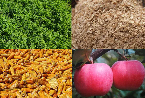 SS:网站文件：20250307144647888304.png；原始文件：640.webp (1).png