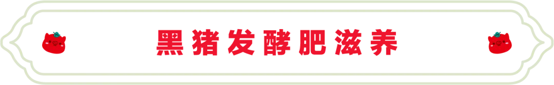 SS:网站文件:20250327143930667599.png;原始文件:640.webp.png SS:网站文件:20250327143930667599.png;原始文件:640.webp.png