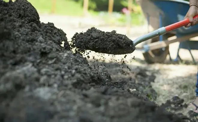 SS:网站文件:20250327144137854314.png;原始文件:640.webp (1).png SS:网站文件:20250327144137854314.png;原始文件:640.webp (1).png