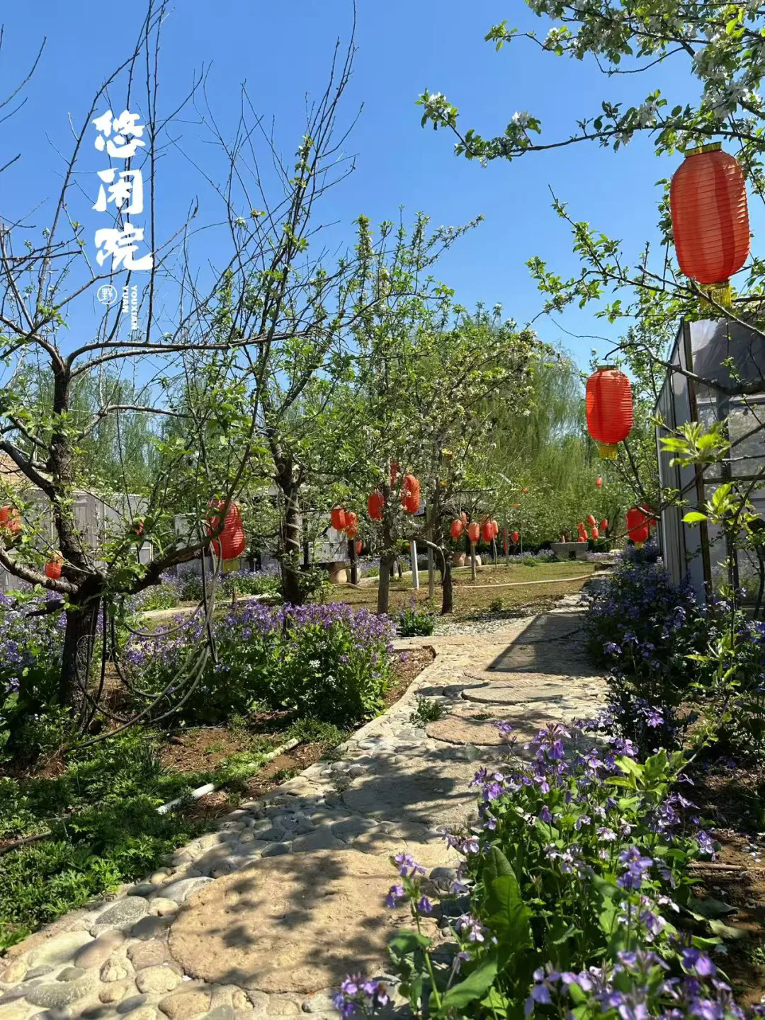 SS:网站文件:20250508150249694150.png;原始文件:640.webp (2).png SS:网站文件:20250508150249694150.png;原始文件:640.webp (2).png