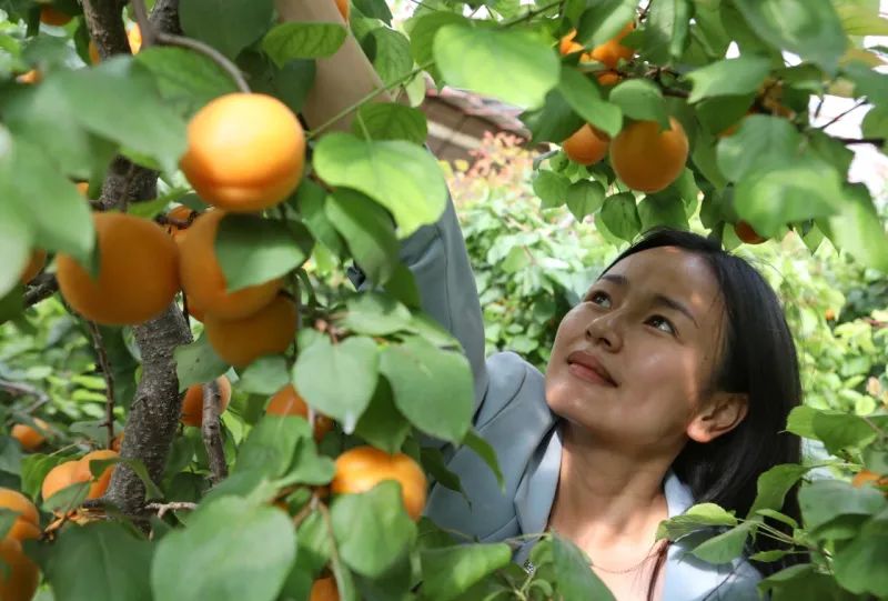 SS:网站文件:20250605163330465982.jpg;原始文件:640 (2).jpg SS:网站文件:20250605163330465982.jpg;原始文件:640 (2).jpg