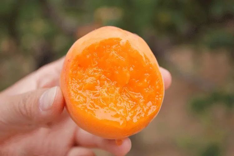 SS:网站文件:20250605163405257238.jpg;原始文件:640 (3).jpg SS:网站文件:20250605163405257238.jpg;原始文件:640 (3).jpg