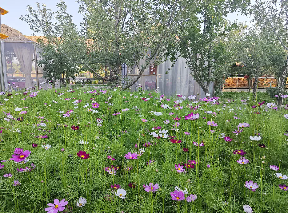 SS:网站文件:20250708142139180388.png;原始文件:640.webp (2).png SS:网站文件:20250708142139180388.png;原始文件:640.webp (2).png