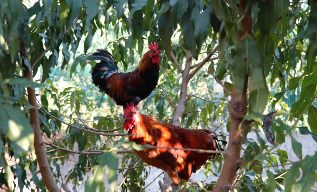 SS:网站文件：20251030112446649121.png；原始文件：640.webp (1).png